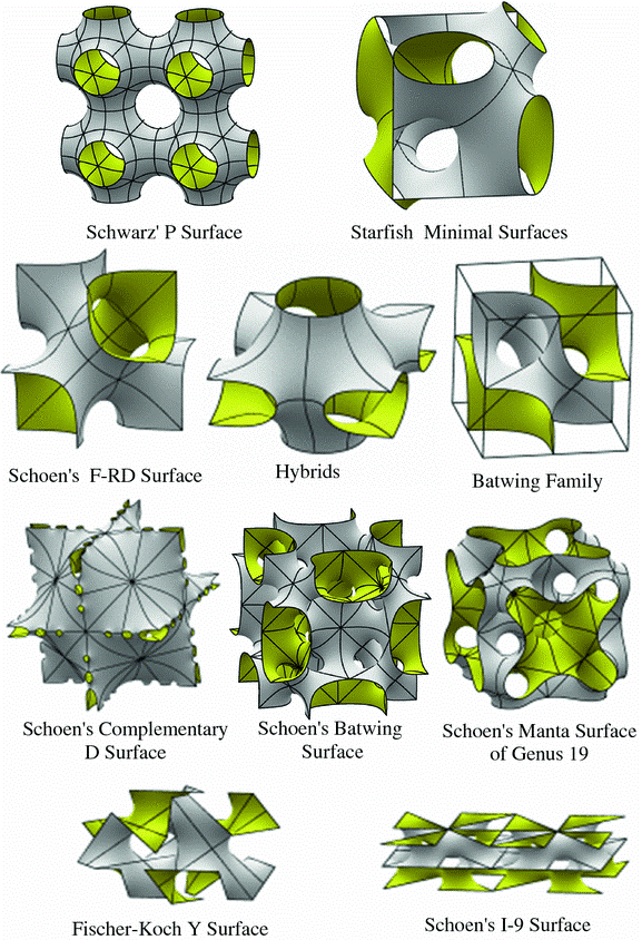 Şekil 1: Sık kullanılan minimal yüzey türleri [Krivoshapko, S.N., Ivanov, V.N. (2015). Minimal Surfaces. In: Encyclopedia of Analytical Surfaces. Springer, Cham.]